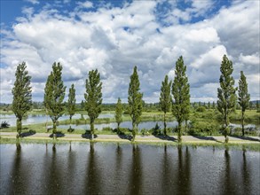 Aerial view of the Mooser Damm with the poplar avenue on the western part of Lake Constance. The