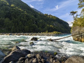 Wild river between rocks and forests, Saltos del Rio Petrohué, Llanquihue region, Chile, South