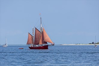 Sailing ship Platessa, sailing boat, Laboe, Kieler Woche, Kiel Fjord, Kiel, Schleswig-Holstein,