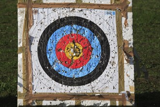 Sport, shot target during archery