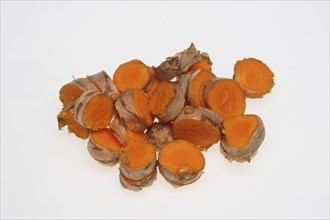 Turmeric (Curcuma longa) or curcume, yellow ginger, saffron root, turmeric, plant species of the