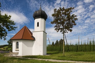 Chapel and hop gardens, hop growing, hop plantation, St George's Chapel, St George's Chapel,