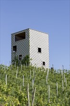 Observation tower in the vineyards near Korb-Kleinheppach in the Rems Valley, Korb,