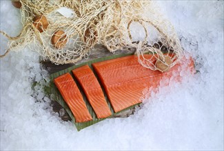 Salmon (Salmo) lying on a banana leaf and lots of ice, fishing net as decoration, studio shot