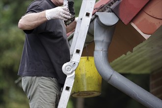 Gutter, ladder, person, bucket, clean, So that the rainwater can run off again, the gutter is