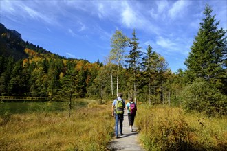 Hikers at the Frillensee near Inzell, Chiemgau, Upper Bavaria, Bavaria, Germany, Europe