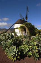 Fuerteventura, Canary Islands, Windmill in Antigua, Museum, Molino de Antigua, Spain, Europe