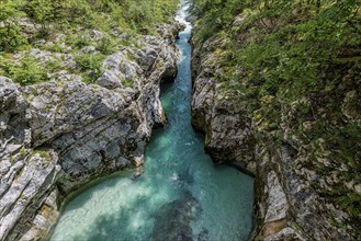 Wild river Soca flows through gorge, Triglav National Park, Soca Valley, Slovenia, Europe