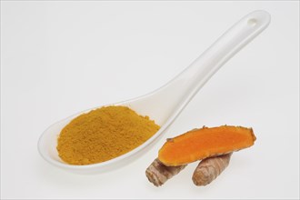 Turmeric (Curcuma longa) or curcume, yellow ginger, saffron root, turmeric, plant species of the