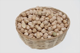 Chickpeas (Cicer arietinum), field pea, legume family