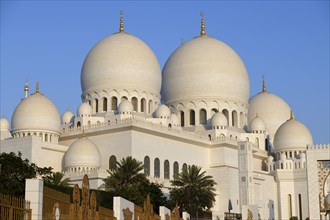 Sheikh Zayed Mosque, Domes, Abu Dhabi City, Emirate of Abu Dhabi, United Arab Emirates, Asia