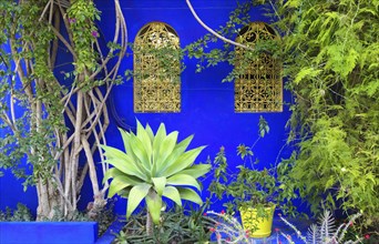 Morocco, Jardin Majorelle Botanical Garden in Marrakech, Africa