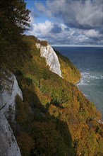 Chalk cliffs at the Königsstuhl, Königsstuhl, Jasmund National Park, Rügen Island,