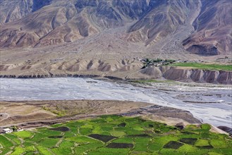 View of Spiti valley with green fields and Spiti river in Himalayas. Spiti valley, Himachal