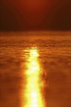 The sun's play of light in the water at sunset on the Trebel River, Peene Valley River Landscape