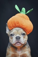 French Bulldog dog puppy dresses up with funny Halloween pumpkin costume hat in front of dark