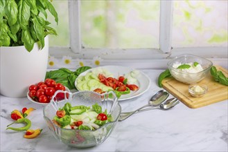 Fresh vegetables on board and plate, salad ingredients, cucumber, tomatoes, basil, pepperoni,