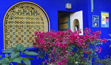 Morocco, Jardin Majorelle Botanical Garden in Marrakech, Africa