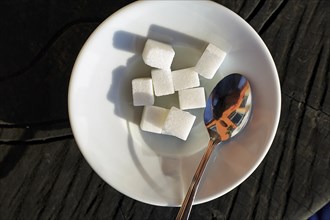 A pile of sugar pieces, sugar cubes and a coffee spoon on a saucer in a café, symbolic image