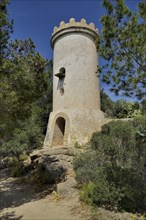 Tower on the dragon island Sa Dragonera, Majorca, Balearic Islands, Spain, Europe