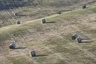 Harvested wheat field with straw bales, landscape around Pienza, Val dOrcia, Orcia Valley, UNESCO