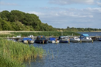 Marina, Altefähr, Island of Rügen, Mecklenburg-Western Pomerania, Germany, Europe