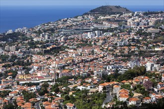 View from the botanical garden in Funchal, Jardim Botanico, to the city of Funchal, Madeira,