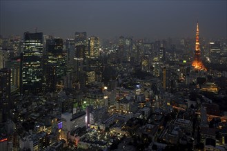 View from the Mori-Tower to the city illuminated at night with the Tokyo Tower, Rappongi Hills,