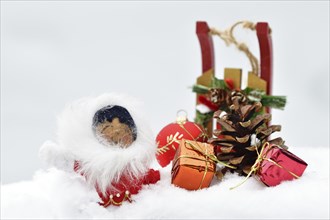 Christmas decoration, Inuit with sleigh and Christmas tree ball and pine cones and Christmas