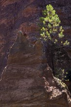 Ochre nature trail, Le Sentier des Ocres, former ochre mining area, ochre rocks, Roussillon,