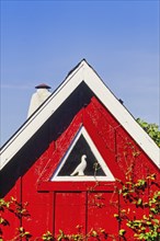 Red house gable with a white dove in a triangle window, Sweden, Europe