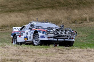 ADAC Eifel Rally Festival 2023, Lancia Rally 037, Vulkaneifel, Eifel, Rhineland-Palatinate,