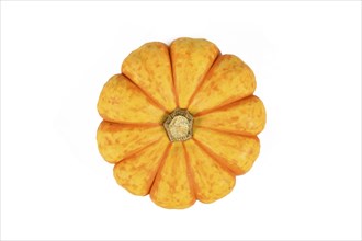 Top view of orange and yellow Carnival squash on white background