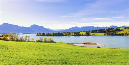 View of the Forggensee, Allgäu Alps, Allgäu, Bavaria, Germany, Europe