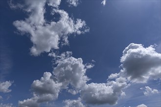 Cumulus humilis clouds (Cumulus humilis), Bavaria, Germany, Europe