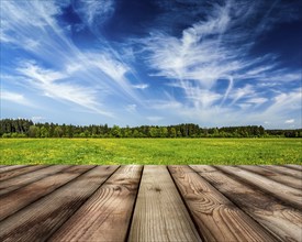 Wooden planks floor against peaceful summer meadow background