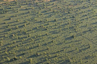 Aerial view, landscape in morning light, Bangweulu swamps, Luapula Province, Zambia, Africa