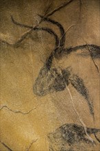 Replica of prehistoric rock paintings of the Chauvet Cave, Chauvet-Pont-d'Arc Cave, Ardèche,