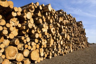 Sawdust and wood piles, stacked, wood, forestry, industry, sawmill in Sweden