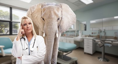 Serious female blonde doctor in a hospital with an elephant in the room