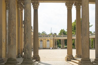 Columns, Back, Palace, Sanssouci, Potsdam, Brandenburg, Germany, Europe