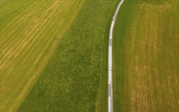 Drone shot, road leads through mown meadows, from above, structure, agriculture, agricultural