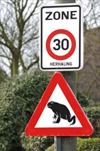 Warning sign for migrating amphibians, toads crossing the road during the annual migration in