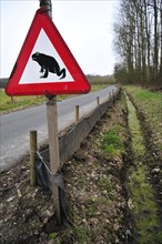 Warning sign and barrier with buckets for migrating amphibians, common toad (Bufo bufo) crossing