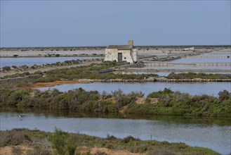 Ses Salines saltworks, near Sant Francesc d'Estany, Ibiza, Balearic Islands, Spain, Europe