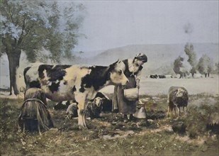 Agriculture, Woman milking a cow, Milk, 1880, Austria, Historic, digitally restored reproduction of