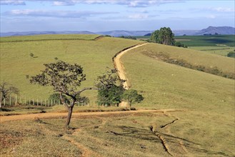 Serra da Canastra landscape, Sao Roque das Minas, Minas Gerais state, Brazil, South America