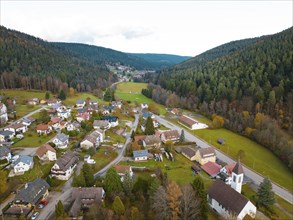 Small village in autumn, Enzklösterle, Black Forest, Germany, Europe