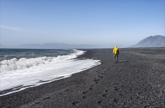 Tourist walking on a long black sand beach, Reynisfjara Beach, South Iceland, Iceland, Europe