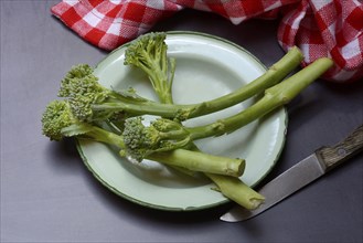 Bimi, broccolini, asparagus broccoli on plate